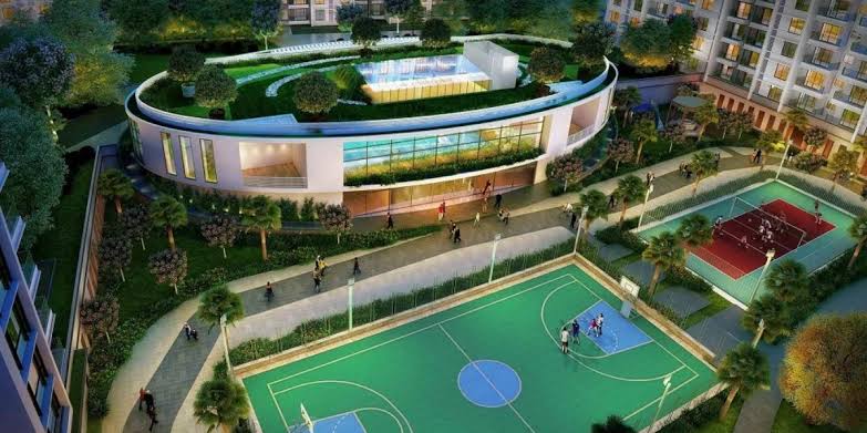 Sports Courts